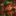 The Christmas Elf's Secret