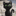 Moonlit Whiskers - A Black Cat's Tale