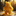 Winnie the pooh - Honeycomb caper